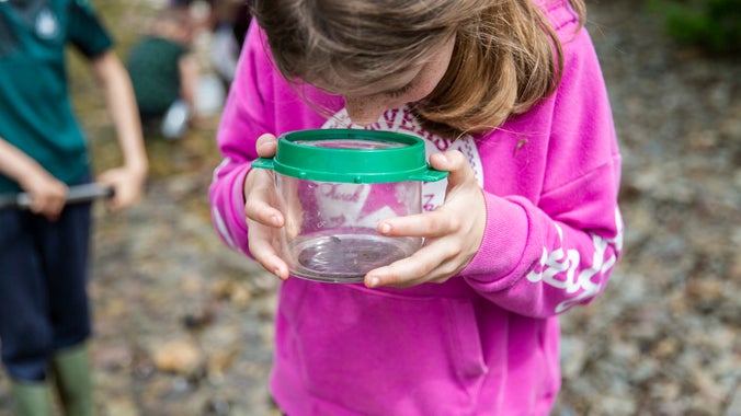 Discovering mini beasts